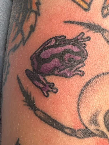 Explore feminine sleeve tattoo ideas, creative tattoo ideas in Norco, available at Live Canvas Tattoo Parlour