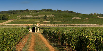 Domaine Clos des Epeneaux à Pommard