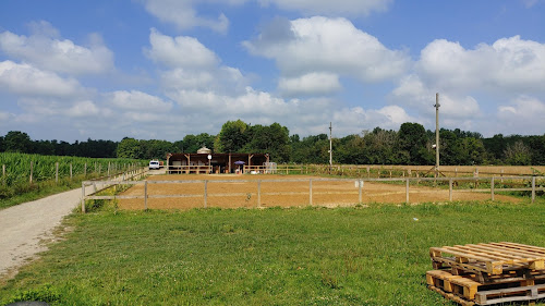 Centre équestre Centre Equestre de l'Eperon Aurensan