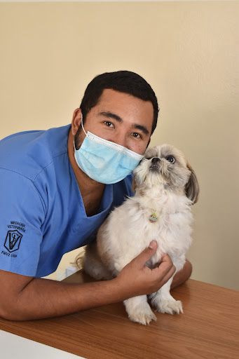 Intense Care Cirurgia e Terapia Intensiva em São José dos Campos - SP