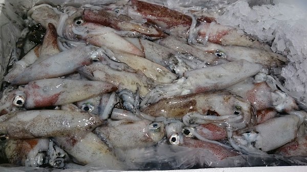 Pescadería la Goyita