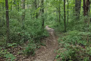 Egypt Valley Trail Head image