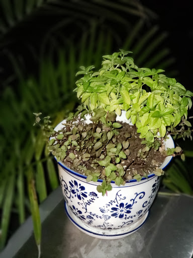 Thrift Store «Goodwill Store & Donation Center», reviews and photos