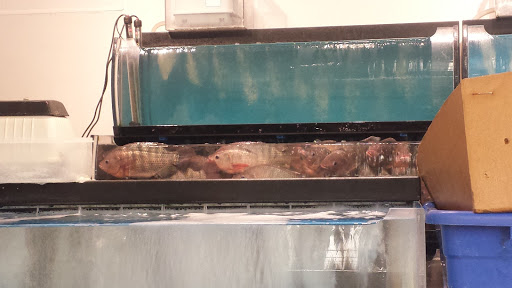 Korean Grocery Store «H Mart», reviews and photos, 34 E Golf Rd, Schaumburg, IL 60173, USA