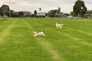 Crispe Park Dog Off Leash Area image