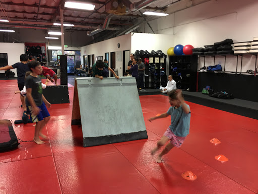 Gym «Smash Gyms», reviews and photos, 1239 Reamwood Ave, Sunnyvale, CA 94089, USA