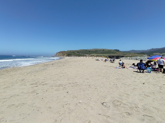 Scott Creek Beach