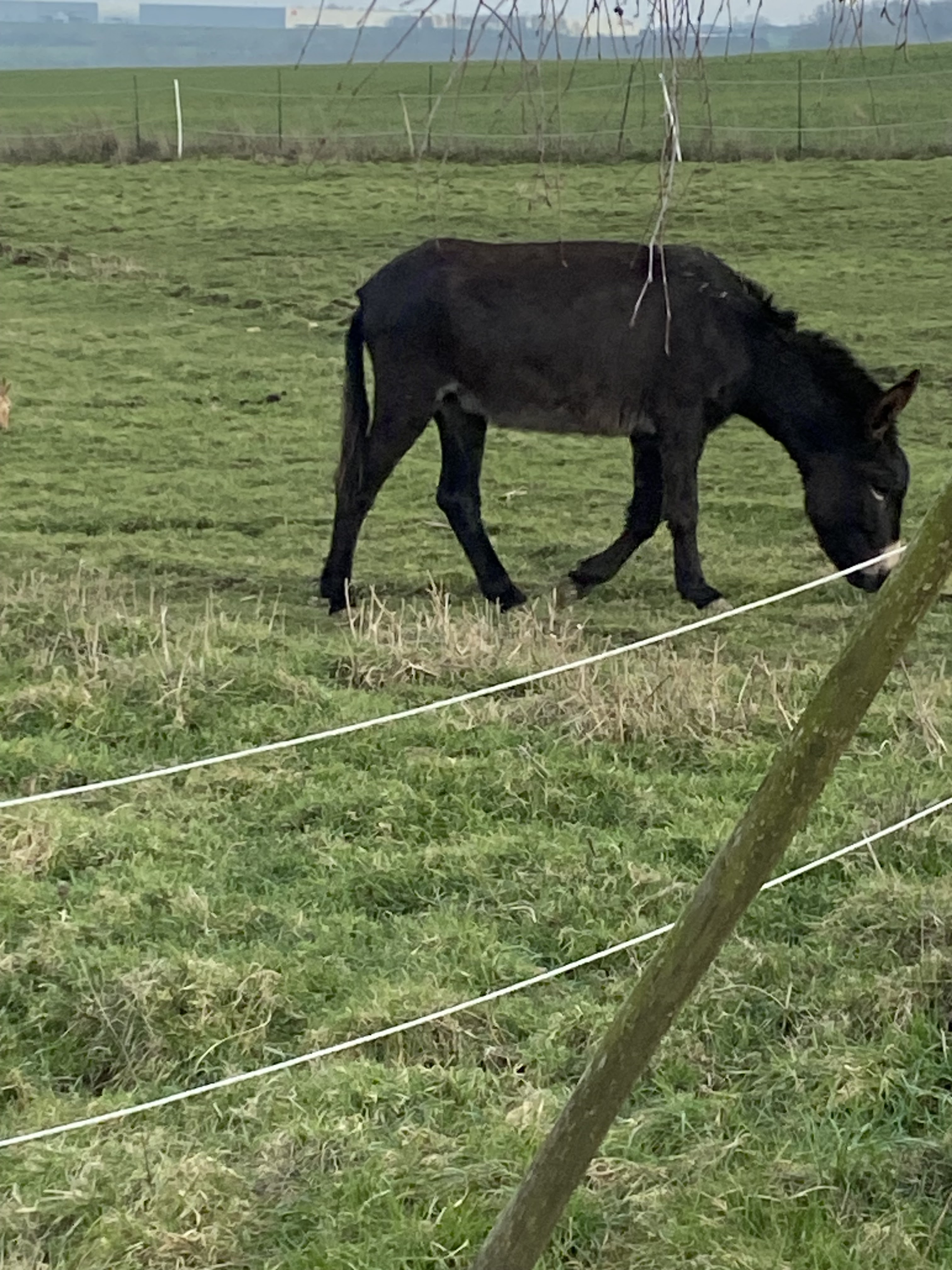 Photo n° 4 de l'avis de Kt.h fait le 14/02/2023 à 17:46