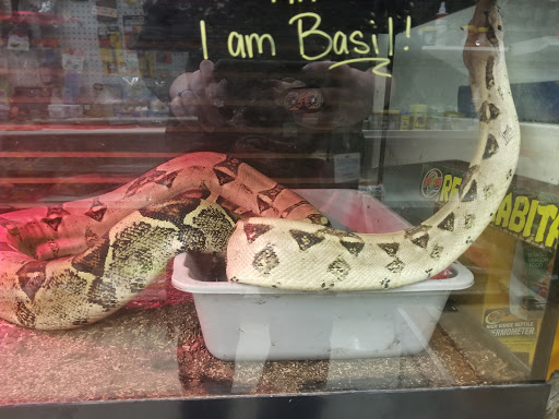 Pet Store «Delhi Pet Center», reviews and photos, 5665 Rapid Run Rd, Cincinnati, OH 45238, USA