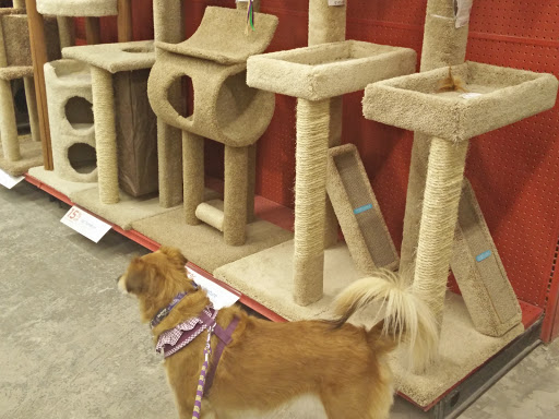 Pet Supply Store «Petco Animal Supplies», reviews and photos, 3495 Sports Arena Blvd, San Diego, CA 92110, USA