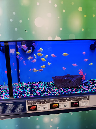 Pet Supply Store «Petco Animal Supplies», reviews and photos, 157-20 Cross Bay Blvd, Howard Beach, NY 11414, USA