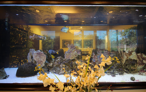 Criminal Justice Attorney «Braden & Tucci, A Professional Law Corporation», reviews and photos