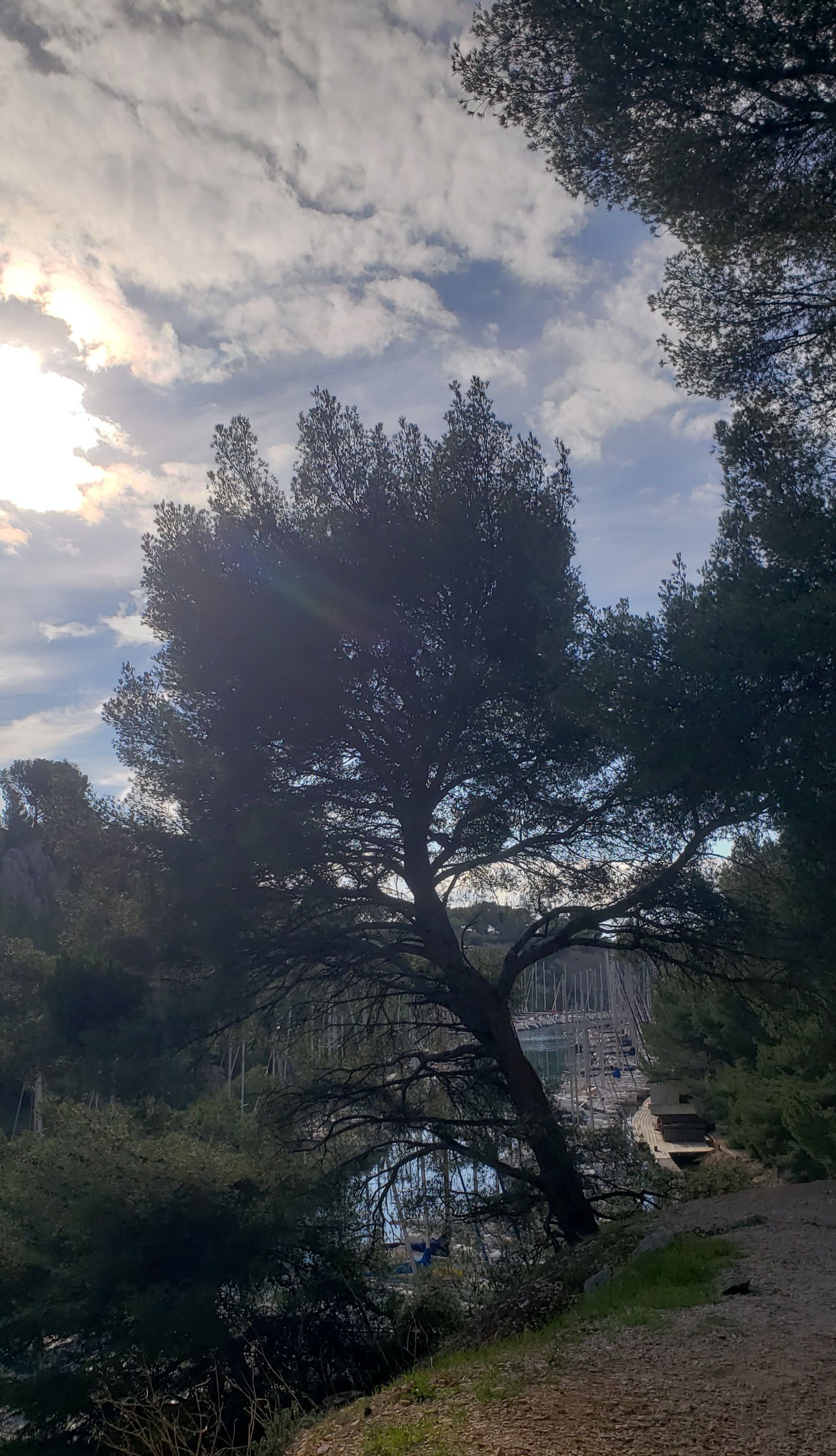 Photo n° 16 de l'avis de Brigitte.a fait le 28/12/2023 à 13:14