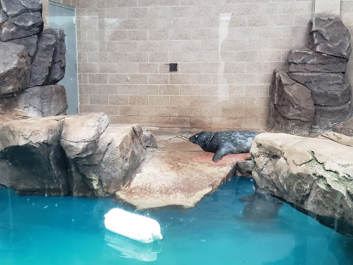 Zoo «Como Park Zoo & Conservatory», reviews and photos, 1225 Estabrook Dr, St Paul, MN 55103, USA