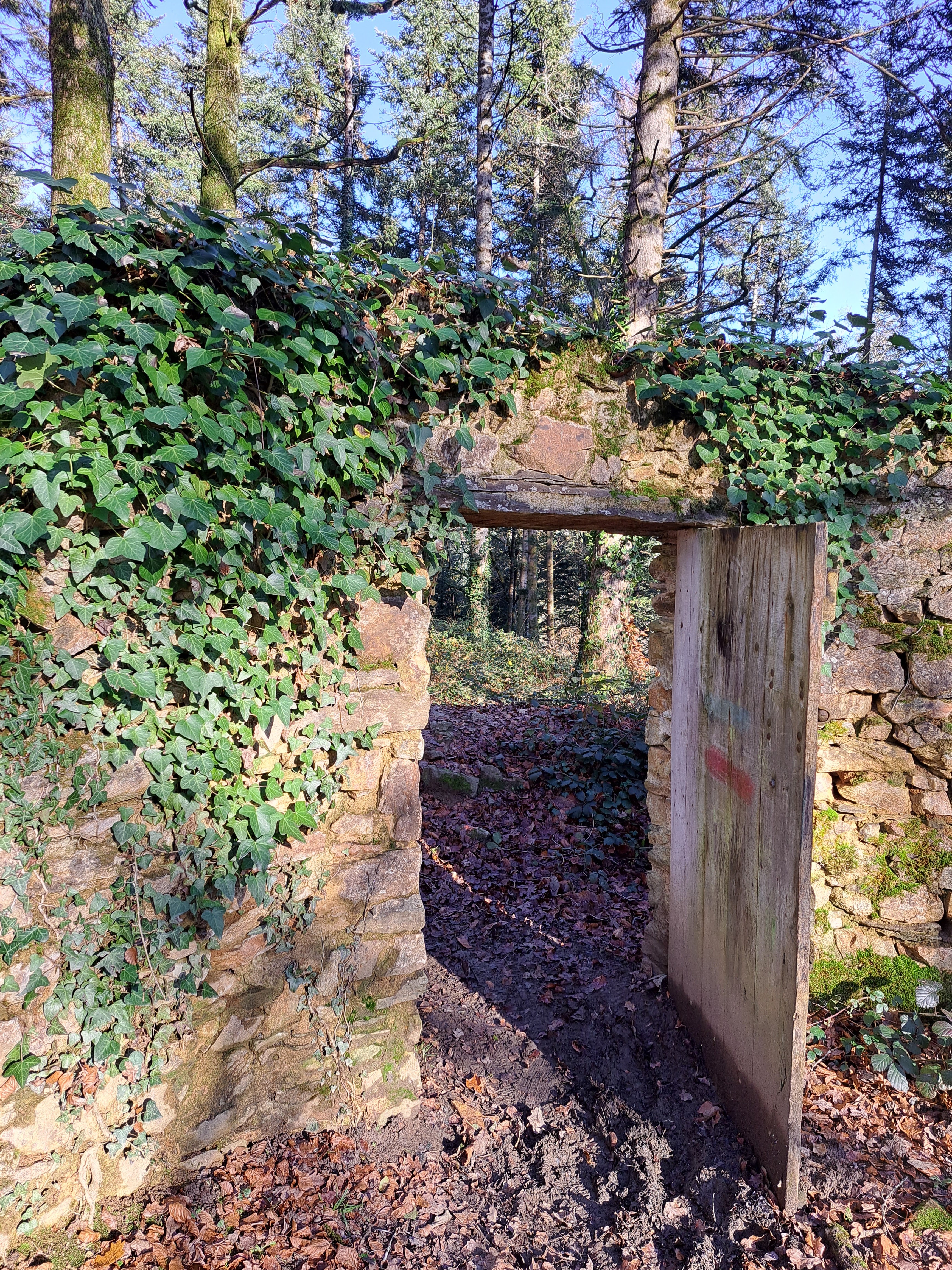 Photo n° 3 de l'avis de LABIDOIRE.a fait le 05/01/2024 à 10:08