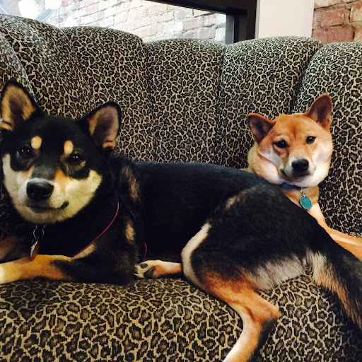 Pet Supply Store «Pet Ranch», reviews and photos, 3823 E 120th Ave, Denver, CO 80233, USA