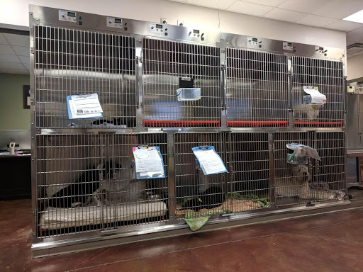 Veterinary Healthcare Associates