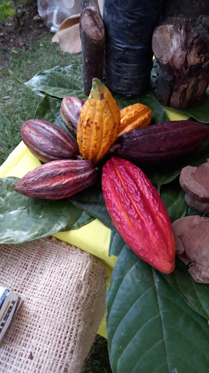 Asociación de Cultivadores y Comercializadores de Cacao y Productos Agrícolas de Pueblo Bello
