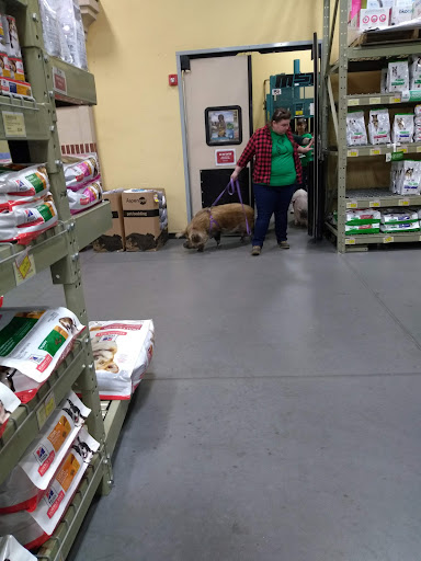 Pet Supply Store «Care-A-Lot Pet Supply Indian River», reviews and photos, 5457 Indian River Rd, Virginia Beach, VA 23464, USA