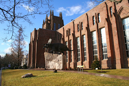 Natural History Museum «Yale Peabody Museum of Natural History», reviews and photos, 170 Whitney Ave, New Haven, CT 06511, USA