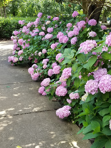 Art Museum «The Parthenon», reviews and photos, 2500 West End Ave, Nashville, TN 37203, USA