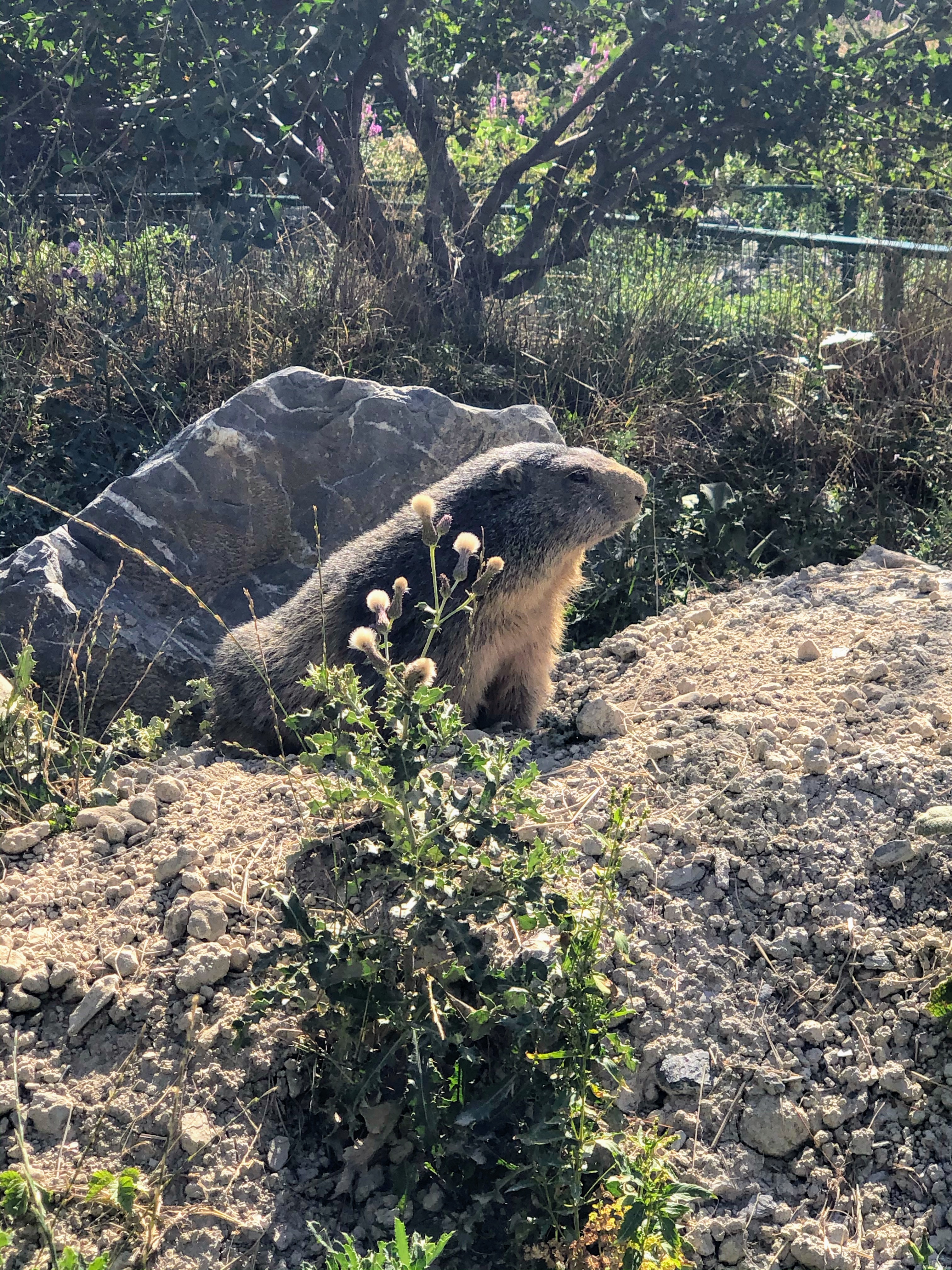Photo n° 25 de l'avis de Jérémie.r fait le 28/08/2020 à 17:19