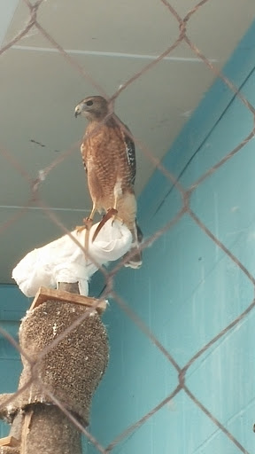 Museum «EcoTarium», reviews and photos, 222 Harrington Way, Worcester, MA 01604, USA