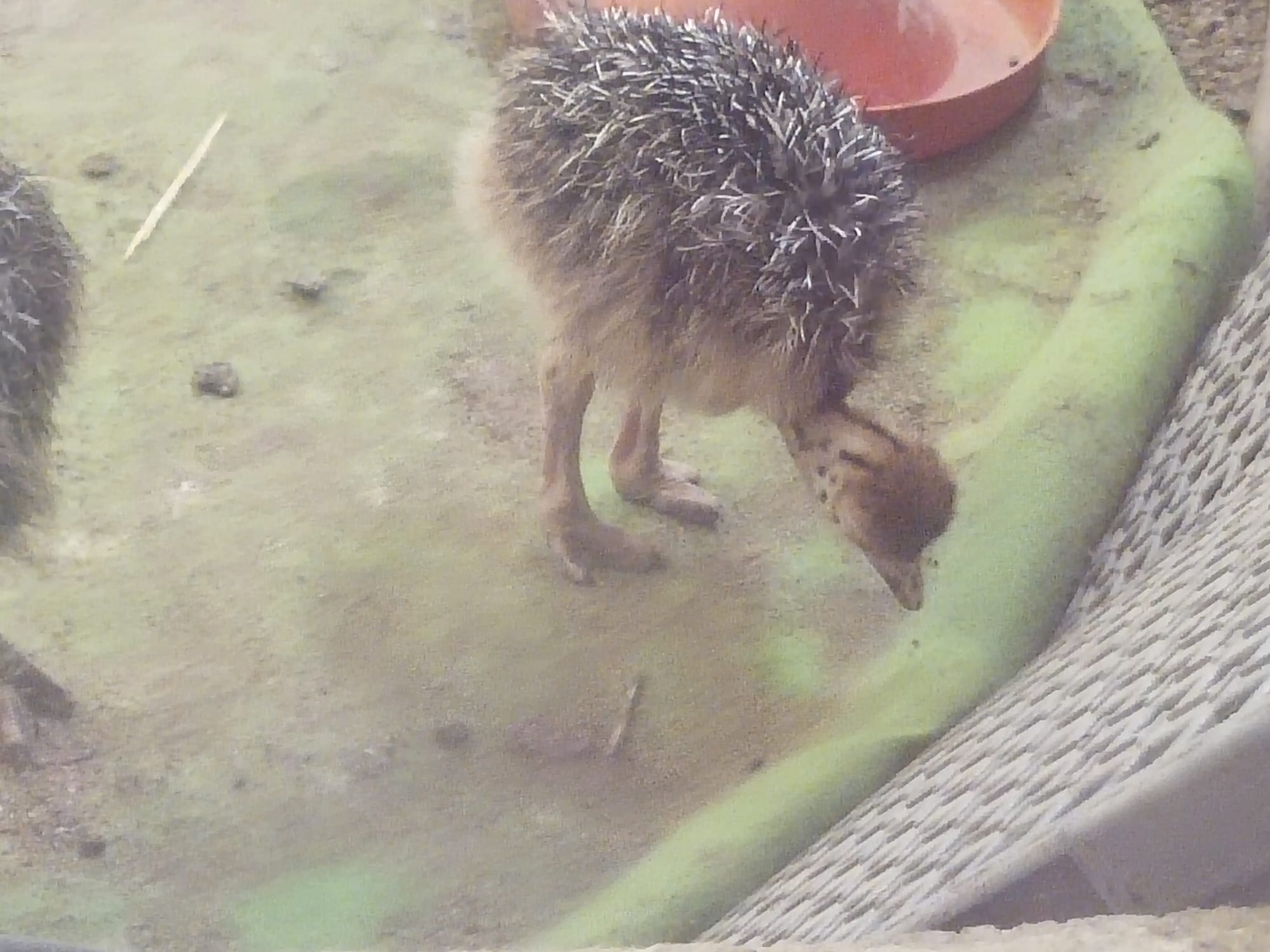 Photo n° 3 de l'avis de Philippe.U fait le 12/08/2023 à 17:49