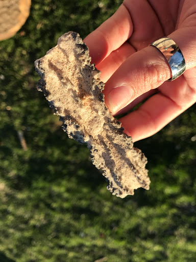 Geology Rocks and Minerals image
