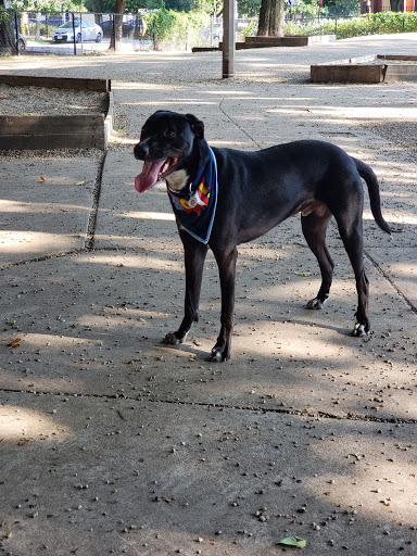 Dog Park «Wiggly Field Dog Friendly Area», reviews and photos, 2645 N Sheffield Ave, Chicago, IL 60614, USA