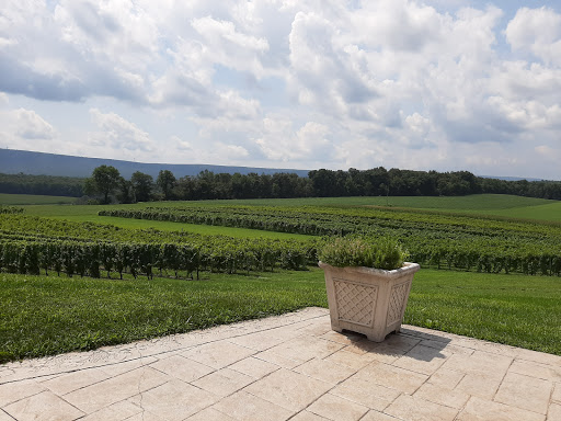 Winery «Galen Glen Winery», reviews and photos, 255 Winter Mountain Dr, Andreas, PA 18211, USA