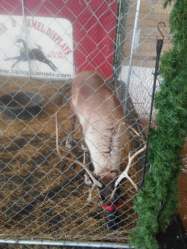 Resort «Grand Falls Casino Resort», reviews and photos, 1415 Grand Falls Blvd, Larchwood, IA 51241, USA