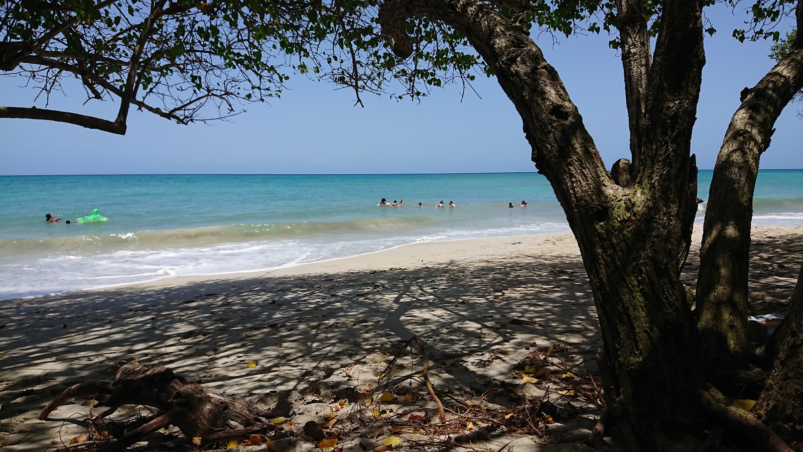 Plage de Sainte Luce的照片 位于自然区域