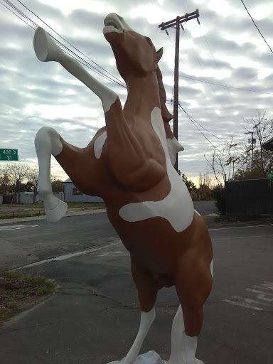 Western Apparel Store «Two Amigos Western Wear», reviews and photos, 3853 Main St, Oakley, CA 94561, USA