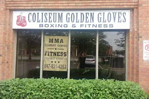 Golden Gloves Fitness Inc. image