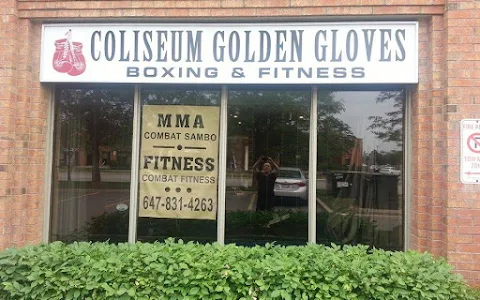 Golden Gloves Fitness Inc. image