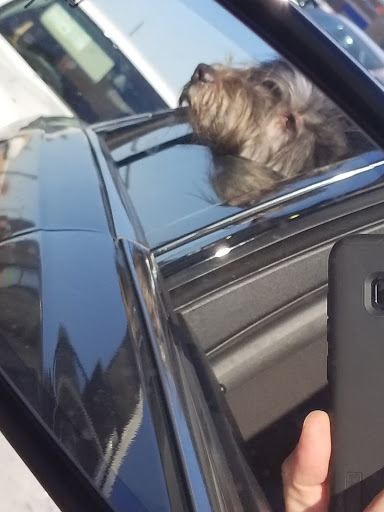 Coffee Shop «Starbucks», reviews and photos, 1970 Hilliard Rome Rd, Columbus, OH 43228, USA