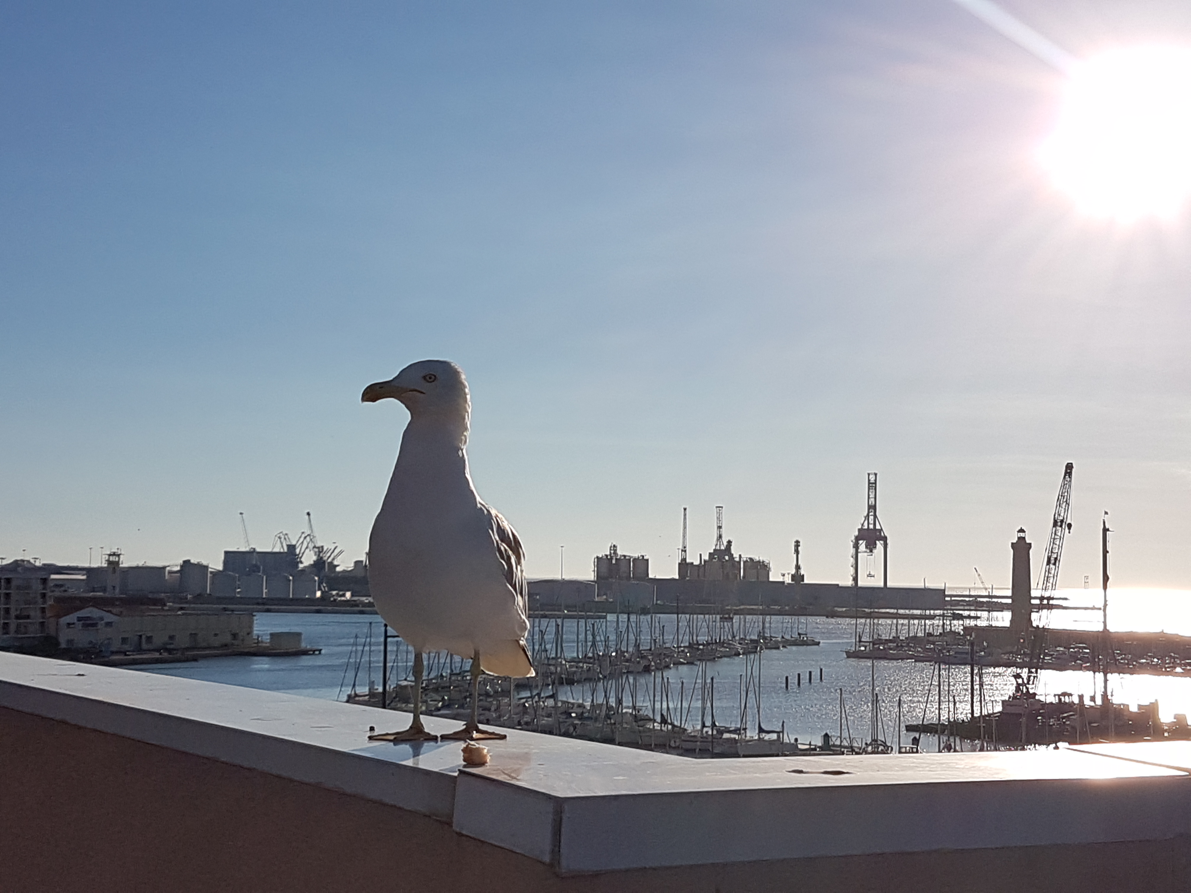 Photo n° 1 de l'avis de Frédéric.a fait le 08/08/2017 à 15:21