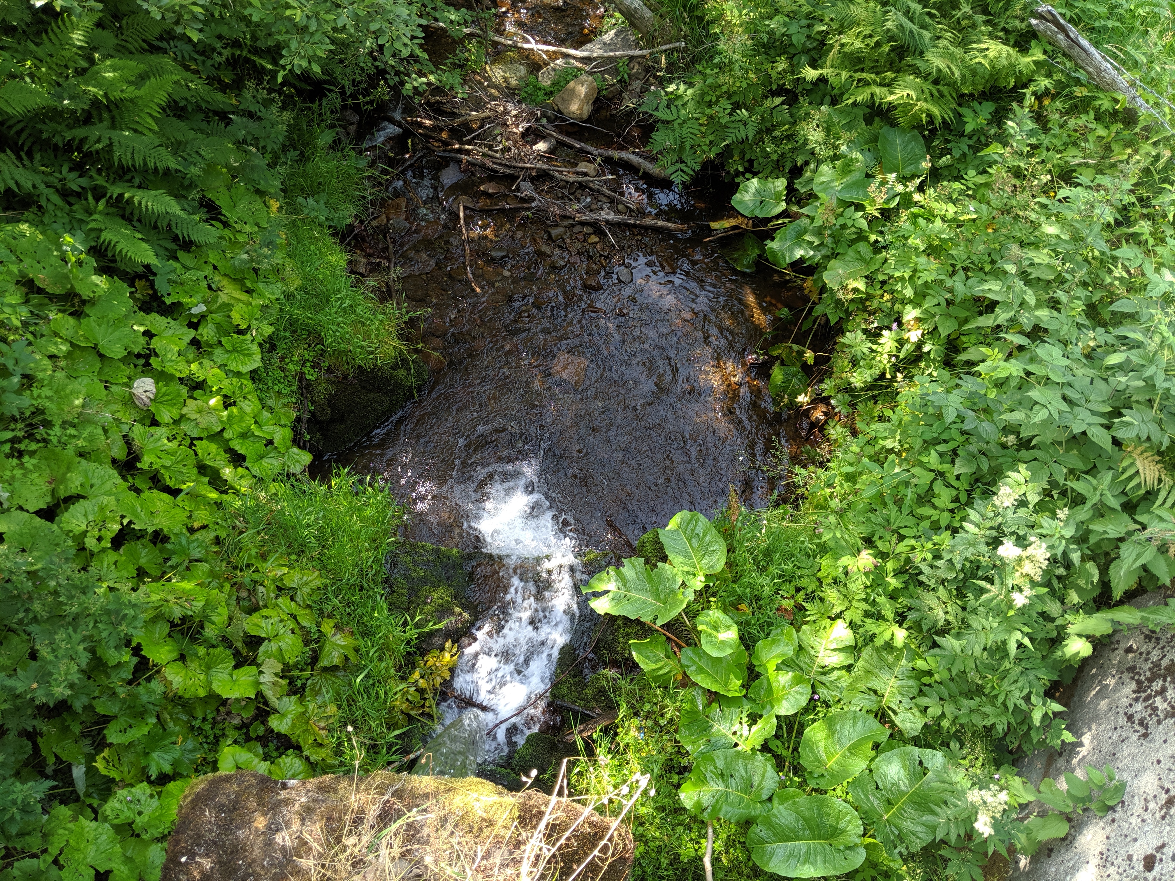 Photo n° 10 de l'avis de olivier.a fait le 02/08/2019 à 06:13