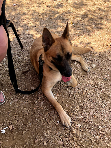 Off Leash K9 Training San Antonio