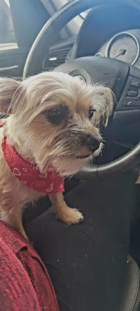 Pet Supplies Plus St. Petersburg - Photo 8 - Car repair in St. Petersburg, FL, St. Petersburg