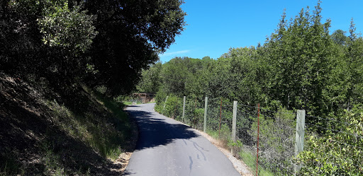 Supermarket «FoodMaxx», reviews and photos, 2055 Sebastopol Rd, Santa Rosa, CA 95407, USA