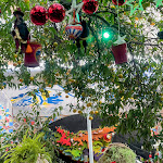 Photo n°3 de l'avis de Miryana.e fait le 03/12/2023 à 21:32 sur le  Kuttigghiu à Taormina