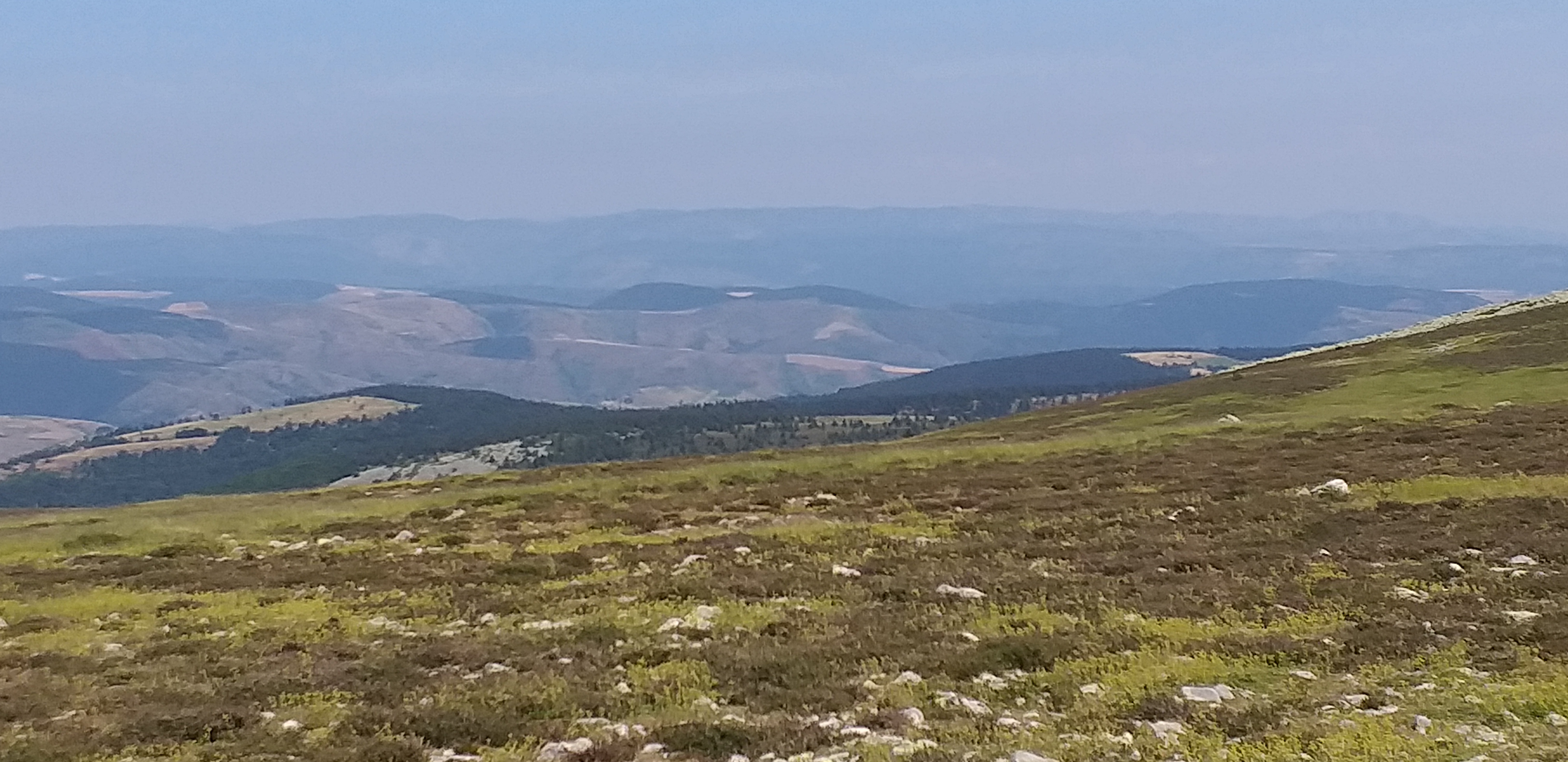 Photo n° 2 de l'avis de Philippe.o fait le 25/07/2019 à 18:15