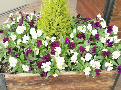 Park «Fort Worth Water Gardens», reviews and photos, 1502 Commerce St, Fort Worth, TX 76102, USA