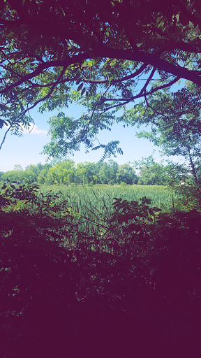 Nature Preserve «Sutherland Nature Sanctuary», reviews and photos, 3998 Diehl Rd, Metamora, MI 48455, USA