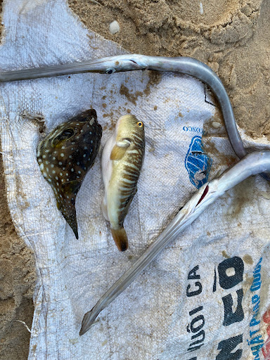 Top 20 cửa hàng air space Quận 11 Hồ Chí Minh 2022