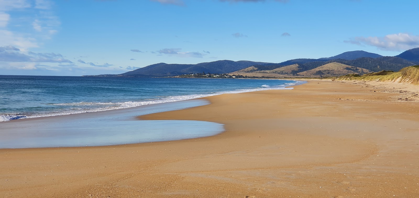 Photo de Steels Beach avec l'eau cristalline de surface