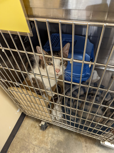 Pet Supply Store «PetSmart», reviews and photos, 45 Park Pl Dr, Covington, LA 70433, USA