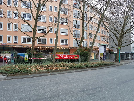 Weihnachtsbaum Frankfurt-Nordend